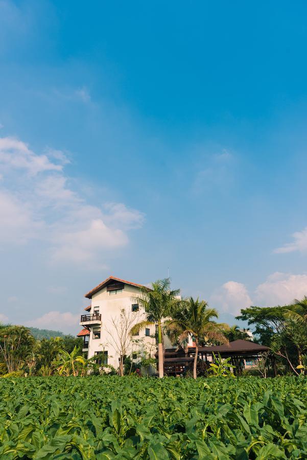 Palm Villa Guesthouse Nantou Extérieur photo